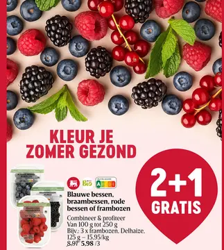 Aanbieding: Blauwe bessen, braambessen, rode bessen of frambozen