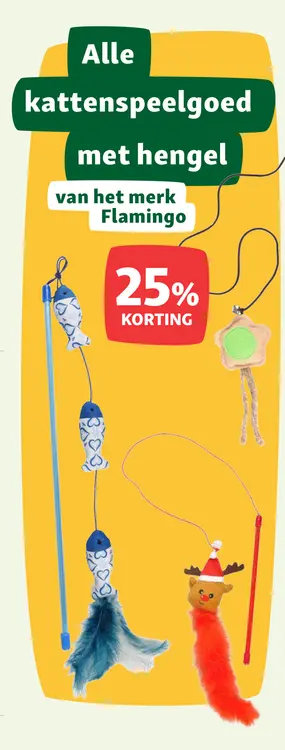 Aanbieding: Kattenspeelgoed met hengel
