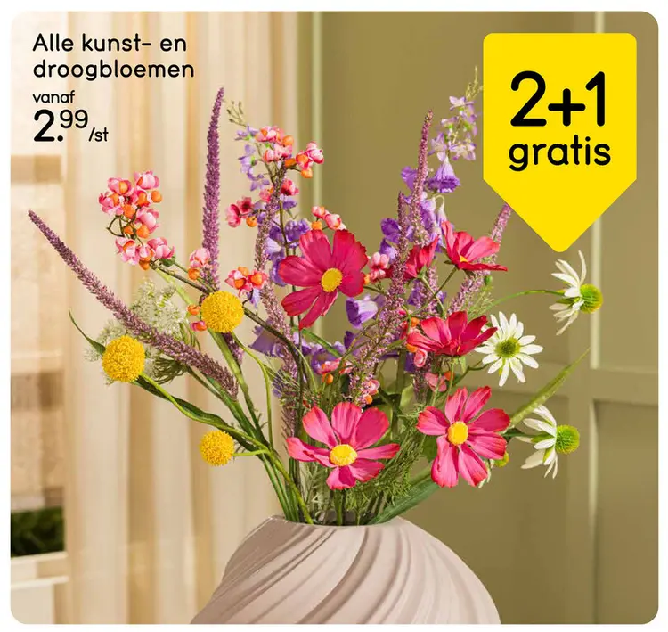 Aanbieding: Kunst- en droogbloemen