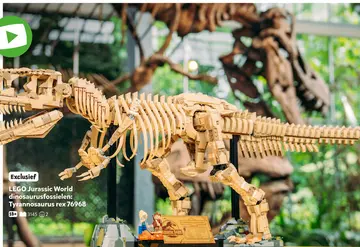 Aanbieding: LEGO Jurassic World dinosaurusfossielen: Tyra
