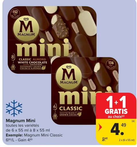 Offre: Magnum Mini