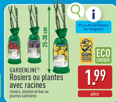 Offre: Rosiers ou plantes avec racines