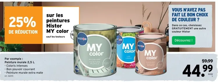 Offre: Peinture murale