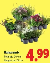Aanbieding: Najaarsmix