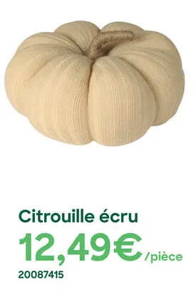 Offre: Citrouille écru