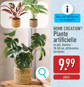 Offre: Plante artificielle