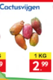 Promotie: Cactusvijgen