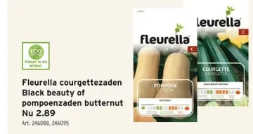 Aanbieding: Fleurella courgettezaden Black beauty of pomp