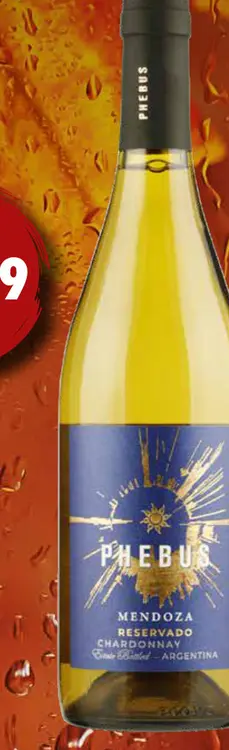 Aanbieding: Phebus mendoza reservado chardonnay