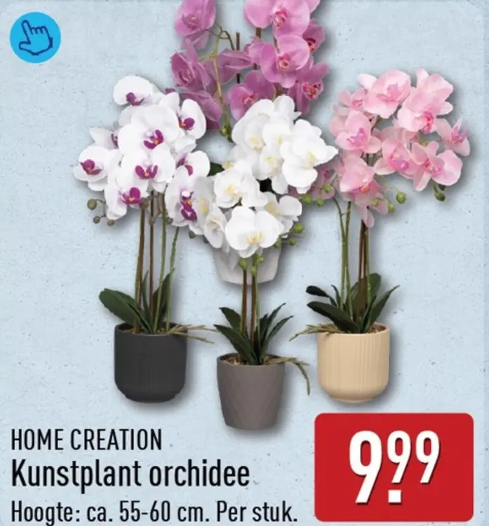 Aanbieding: Kunstplant orchidee
