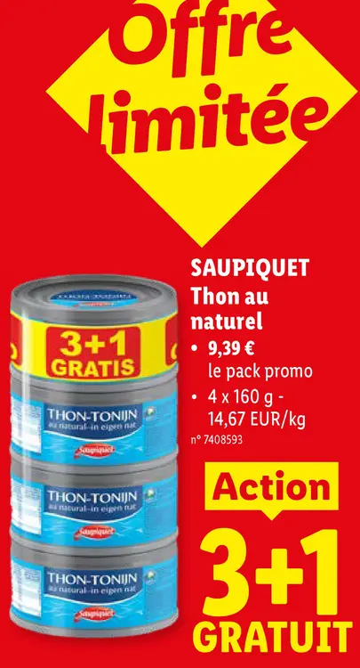 Offre: Thon au naturel