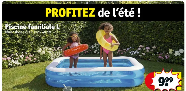 Offre: Piscine familiale L