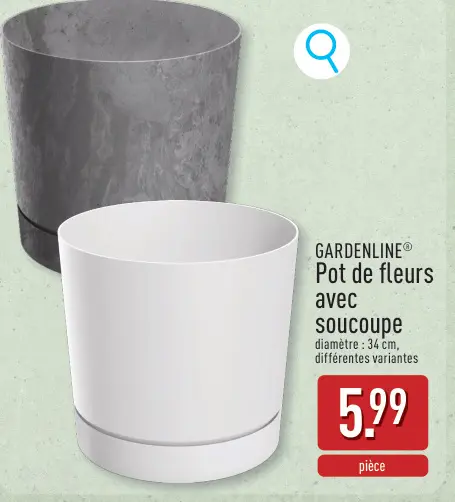 Offre: Pot de fleurs avec soucoupe