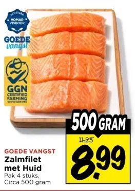 Zalmfilet met Huid