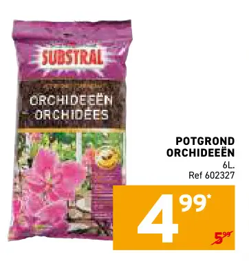 Promotie: Potgrond orchideeën