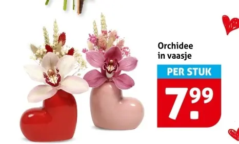 Aanbieding: Orchidee in vaasje