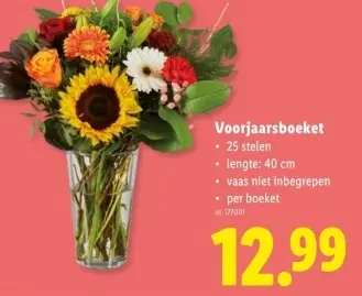 Promotie: Voorjaarsboeket