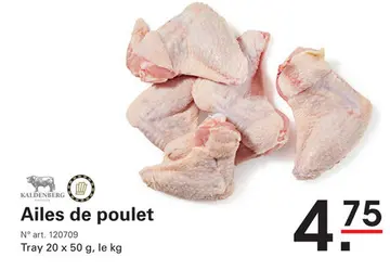 Offre: Ailes de poulet