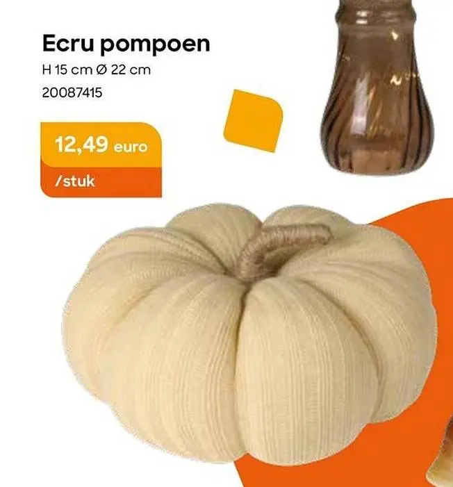 Promotie: Ecru pompoen
