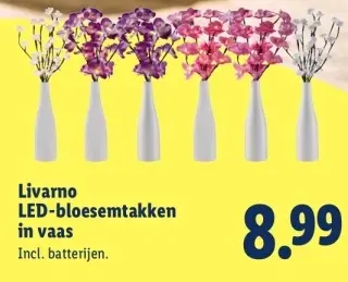 Aanbieding: LED-bloesemtakken in vaas