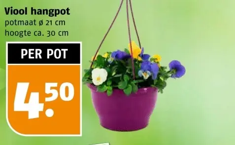 Aanbieding: Viool hangpot