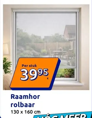 Promotie: Raamhor rolbaar