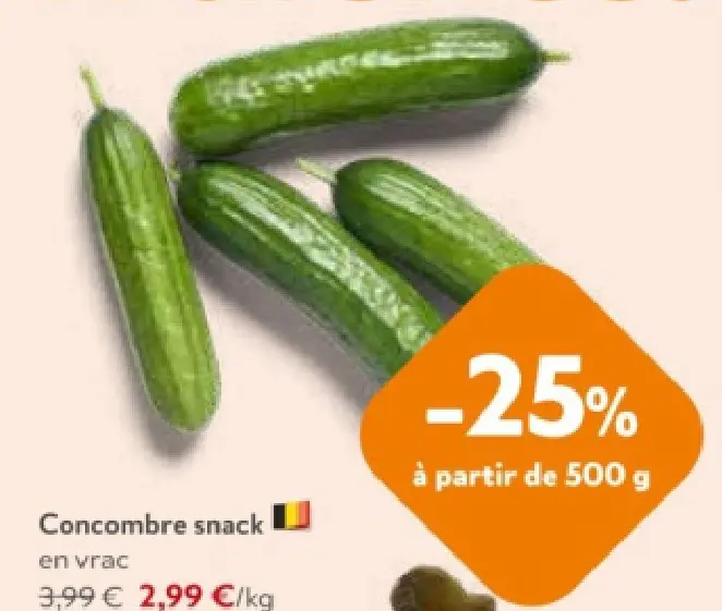 Offre: Concombre snack