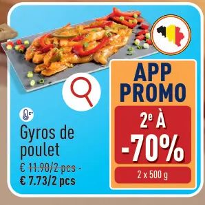 Offre: Gyros de poulet