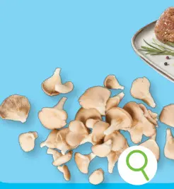 Promotie: Oesterzwammen