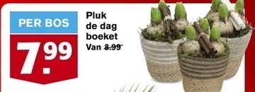 Aanbieding: Pluk de dag boeket