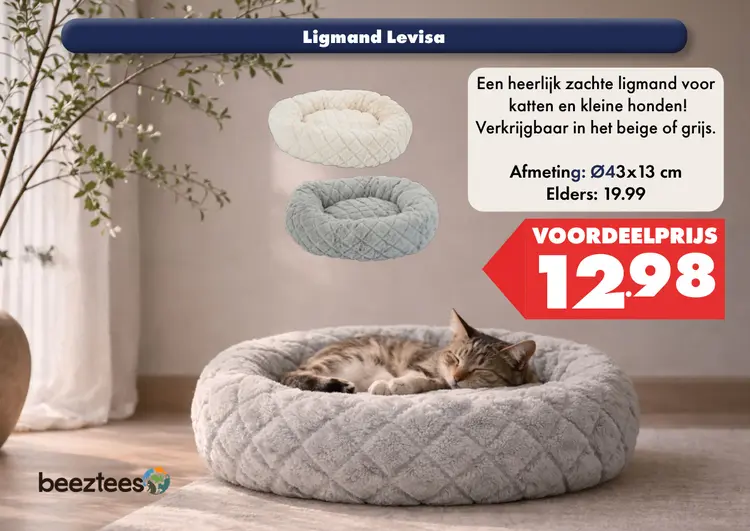 Aanbieding: Ligmand Levisa