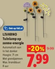 Aanbieding: Tuinlamp op zonne-energie