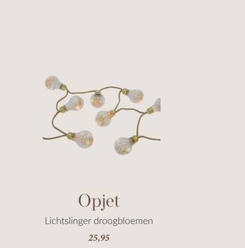 Aanbieding:  Opjet Lichtslinger - Droogbloemen