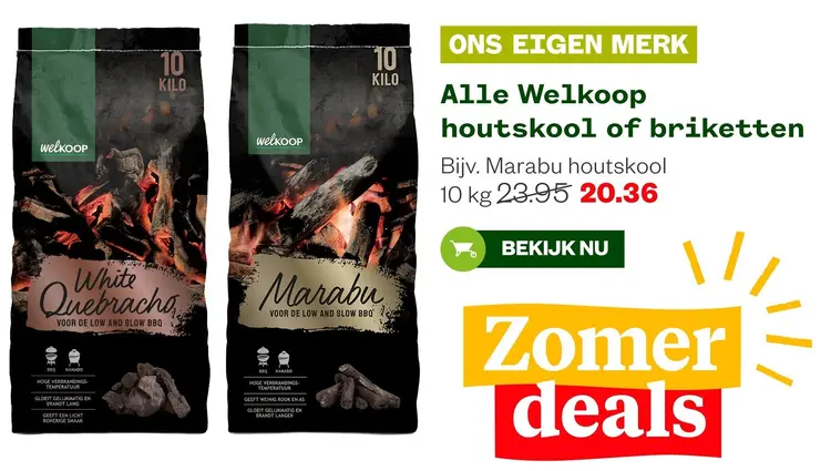 Aanbieding: Alle Welkoop houtskool of briketten