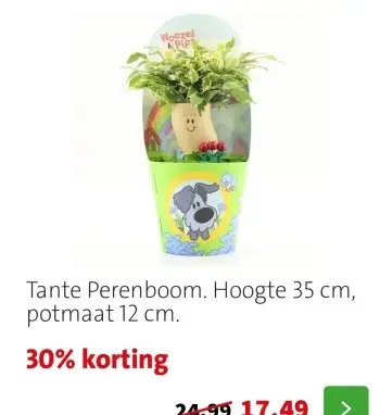 Aanbieding: Tante Perenboom