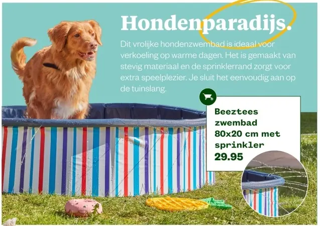 Aanbieding: zwembad 80x20 cm met sprinkler