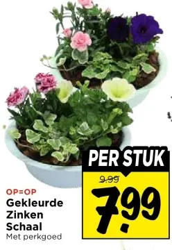 Gekleurde Zinken Schaal