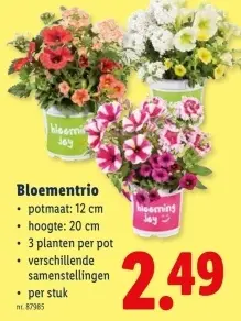 Promotie: Bloementrio