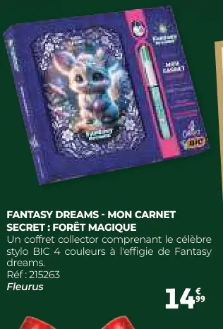 Aanbieding: Fantasy dreams - mon carnet secret : forêt ma