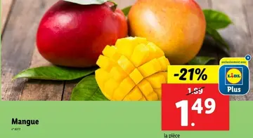 Offre: Mangue
