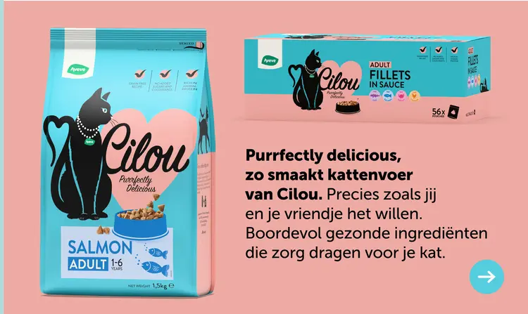 Promotie: Cilou Salmon Adult