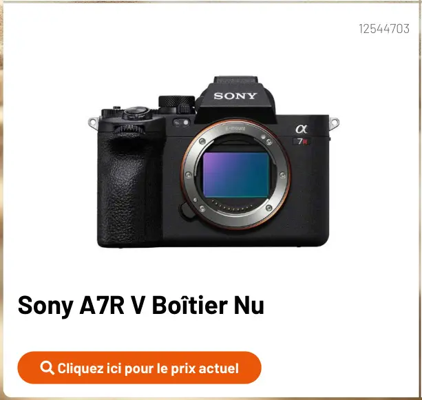 Offre: A7R V Boîtier Nu