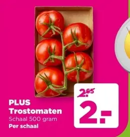 Aanbieding: Trostomaten