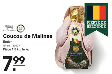 Offre: Coucou de Malines