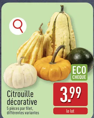 Offre: Citrouille décorative