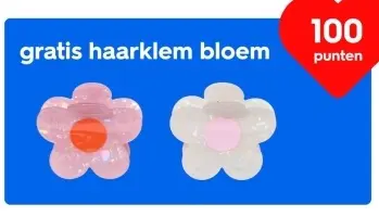 Aanbieding: haarklem bloem