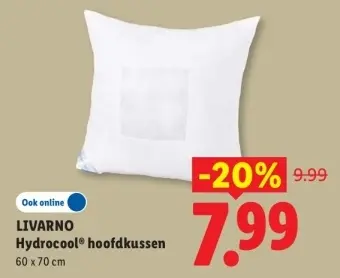 Aanbieding: Hydrocool® hoofdkussen
