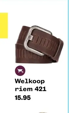 Aanbieding: Welkoop riem 421