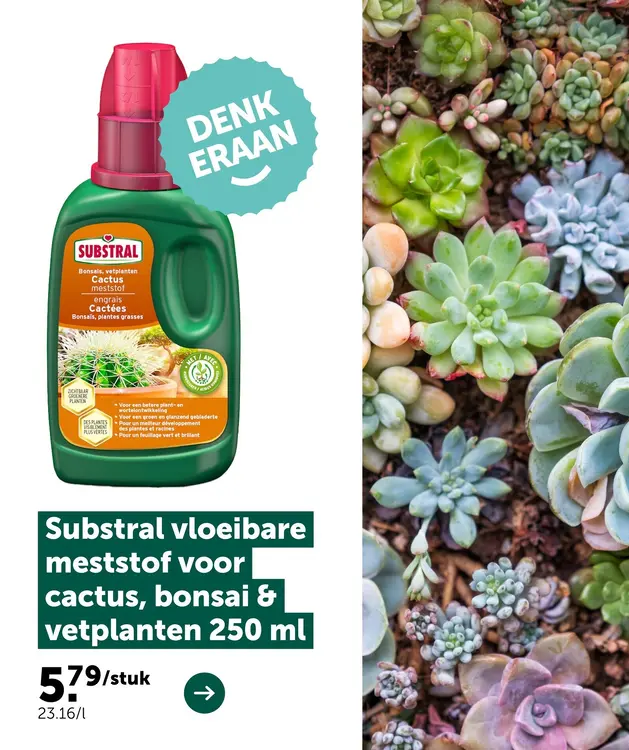 Promotie: Vloeibare meststof voor cactus, bonsai & vetplanten 250 ml