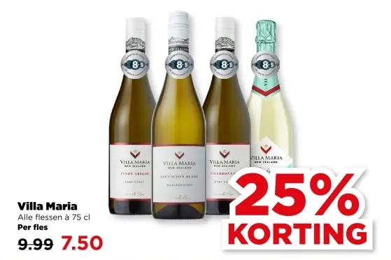 Aanbieding: Villa Maria